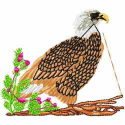 Eagle And Falcon Embroidery Design 5